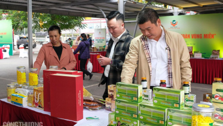 Những khách hàng đầu tiên trải nghiệm "Tuần lễ Link vào Cwin Cá Cược Thể Thao 2026 an toàn vùng miền"