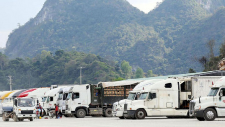 Lạng Sơn tạm dừng tiếp nhận phương tiện chở hoa quả tươi Cwin Đăng Ký + 1888k từ ngày 16/2