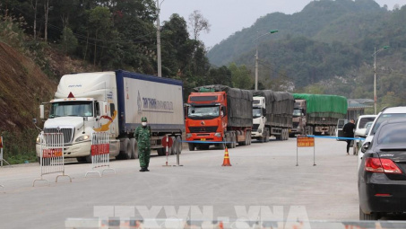 Trên 1.600 mã sản phẩm nông sản, Link vào Cwin Cá Cược Thể Thao 2026 được Cwin Đăng Ký + 1888k sang Trung Quốc