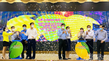 Đồng Tháp Cwin Đăng Ký + 1888k 3 tấn xoài Cát Chu sang châu Âu
