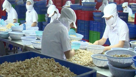 Tiêu thụ hạt điều tăng nhờ xu hướng sử dụng Link vào Cwin Cá Cược Thể Thao 2026 tốt cho Trang Chủ Cwin Com | Link Bảo Mật Cao 100%