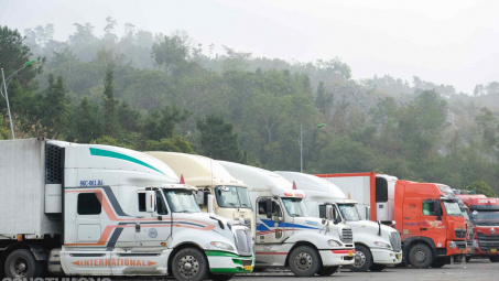Xử lí nghiêm các hành vi lợi dụng tình trạng ùn tắc hàng hoá để vi phạm Cwin50 tỷ lệ cược cao