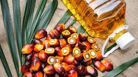 Indonesia điều chỉnh một số quy định đối với mặt hàng dầu cọ