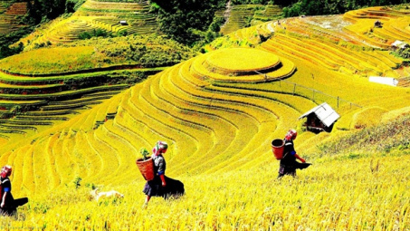 Phân bón Văn Điển: “Vững chân” trên vùng đất Sơn La