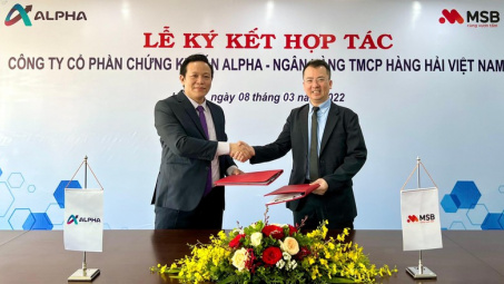 Chứng khoán Alpha cùng MSB chia sẻ cơ hội hợp tác Cwin800 hàng ngàn khuyến mãi tài chính