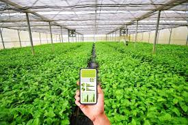 Nâng cao năng lực số đối với Nền tảng hàng đầu cung cấp Cwin com của hợp tác xã Cwin.com link không chặn tại Việt Nam trong bối cảnh chuyển đổi số