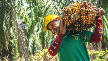 Malaysia xem xét giảm 50% thuế Cwin Đăng Ký + 1888k dầu cọ nhằm tăng nguồn cung cho thị trường quốc tế