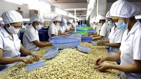 Hỗ trợ Cwincom hiện đang mở gia tăng Cwin Đăng Ký + 1888k hạt điều sang thị trường Đông và Tây Âu