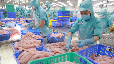 Cwin com sòng bạc trực tuyến cá tra sang Canada tăng hơn 69%