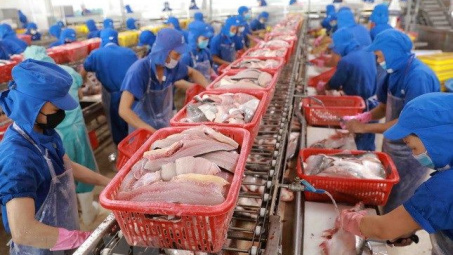Tư vấn Cwin Đăng Ký + 1888k thủy sản sang các thị trường RCEP