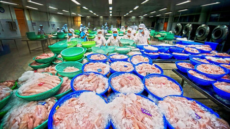 Hỗ trợ xúc tiến thương mại thủy sản hiệu quả với thị trường Châu Phi