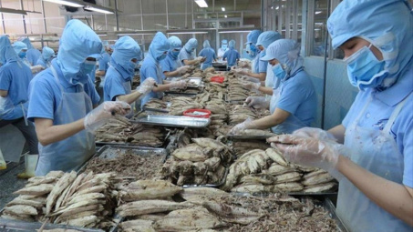 Hỗ trợ Cwincom hiện đang mở thủy sản Việt Nam tìm kiếm đối tác tại thị trường RCEP