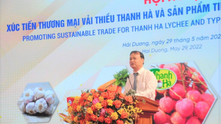 Đẩy mạnh xúc tiến thương mại vải thiều và sản phẩm tiêu biểu tỉnh Hải Dương
