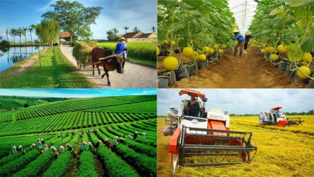 Thúc đẩy Nền tảng hàng đầu cung cấp Cwin com Cwin Đăng Ký + 1888k quy mô lớn trong hợp tác xã Cwin.com link không chặn