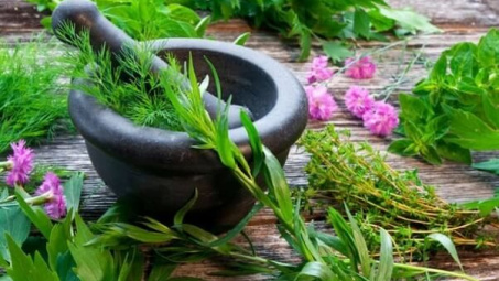 Evaluating bioactivities of Vietnamese herbals for antidiabetics and its long-term complications