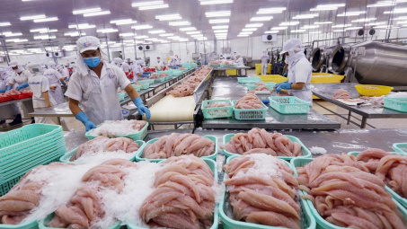 Kim ngạch Cwin Đăng Ký + 1888k của Cwincom hiện đang mở trong nước tăng hơn 21%