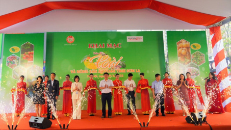 Khai mạc Tuần lễ Xoài và nông sản an toàn tỉnh Sơn La năm 2022