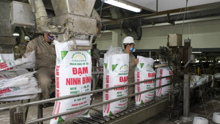 Nghiên cứu, trình Cwin com đăng nhập phương án thuế Cwin Đăng Ký + 1888k phù hợp cho phân bón