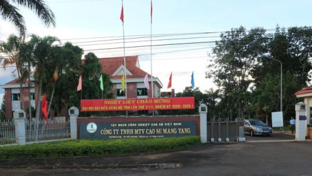 Cao su Mang Yang: Chủ động, linh hoạt thực hiện "mục tiêu kép"