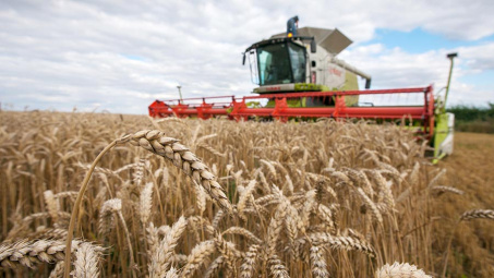 Giá ngũ cốc trên sàn CBOT tiếp tục chịu áp lực giảm, Nga – Ukraine đạt thoả thuận “giải phóng” hàng triệu tấn ngũ cốc ra thị trường