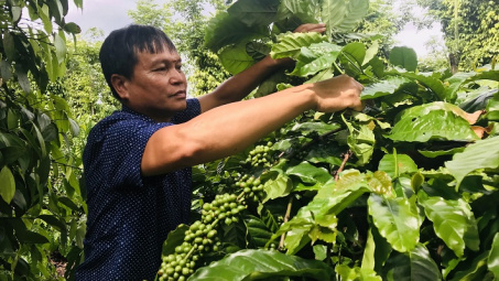 NESCAFÉ Plan: Giảm chi phí, tăng lợi nhuận từ mô hình Cwin.com link không chặn tái sinh