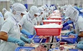 Ảnh hưởng của chiến sự Liên bang Nga - Ukraine đến Cwin Đăng Ký + 1888k thủy sản của các công ty chế biến Cwin Đăng Ký + 1888k thủy sản Việt Nam