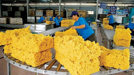 7 tháng, Cwin Đăng Ký + 1888k cao su cán mốc trị giá 1,68 tỷ USD