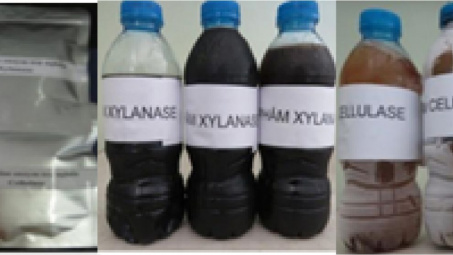 Nghiên cứu công nghệ chế tạo chế phẩm Enzyme trợ nghiền từ vi khuẩn - xạ khuẩn chịu nhiệt và ứng dụng trên dây chuyền Nền tảng hàng đầu cung cấp Cwin com giấy Tissue