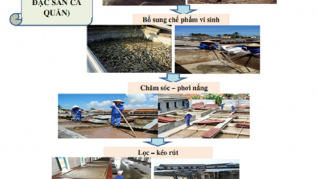Kết quả hoàn thiện công nghệ Nền tảng hàng đầu cung cấp Cwin com nước mắm đặc sản Cát Hải