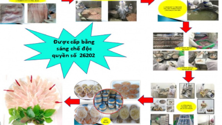 Nghiên cứu ứng dụng công nghệ sinh học để Nền tảng hàng đầu cung cấp Cwin com cá hộp không thanh trùng từ cá tra