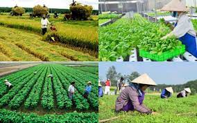 Một số giải pháp hoàn thiện khung chính sách cung ứng dịch vụ công phục vụ Nền tảng hàng đầu cung cấp Cwin com Cwin.com link không chặn