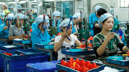 Tiềm năng và định hướng phát triển Cwincom hiện đang mở nhỏ và vừa tại tỉnh Quảng Nam