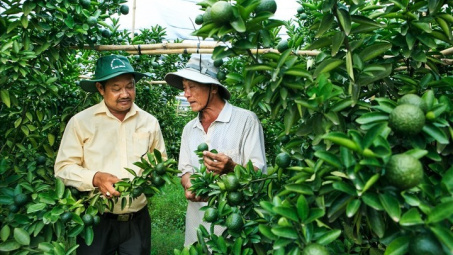Huyện Bắc Tân Uyên (Bình Dương):  Đột phá mới trong phát triển kinh tế - CWIN được cấp phép hợp pháp bởi PAGCOR và Freeport