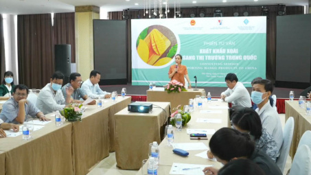 Cwin com sòng bạc trực tuyến xoài sang Trung Quốc: Cần đáp ứng được những yêu cầu, quy định mới
