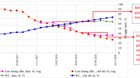 Nghiên cứu đề xuất các giải pháp công nghệ và kỹ thuật nâng cao hệ số thu hồi dầu giai đoạn cuối đối tượng móng mỏ Bạch Hổ
