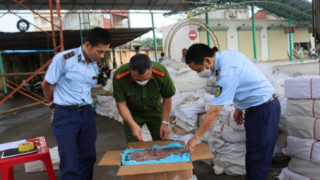 Tăng cường công tác chống buôn lậu, gian lận thương mại và hàng giả trên các tuyến biên giới, vùng biển và địa bàn nội địa.