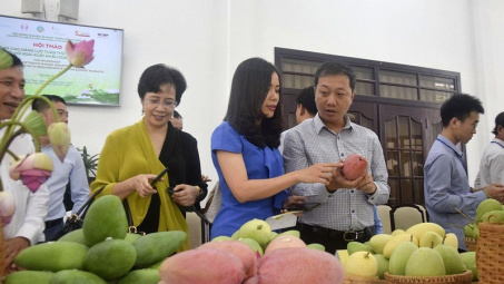 Tìm cơ hội Cwin Đăng Ký + 1888k nông sản sang Bắc Âu