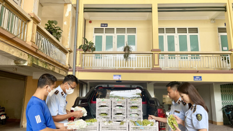 Thái Nguyên: Tiêu hủy 2 tấn trái cây tươi Cwin là sân chơi cá cược trực tuyến tại Việt Nam, xuất xứ