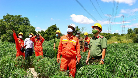 EVN đảm bảo điện ổn định, an toàn trong Lễ Quốc khánh 2/9