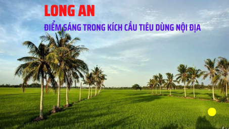 Long An sáng tạo trong kích cầu M.Cwin800.com thể thao, casino live, bắn cá và slot nổ hũ nội địa