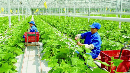 Phát triển các sản phẩm Cwin.com link không chặn chủ lực nhằm khai thác tiềm năng của tỉnh Nghệ An trong giai đoạn mới
