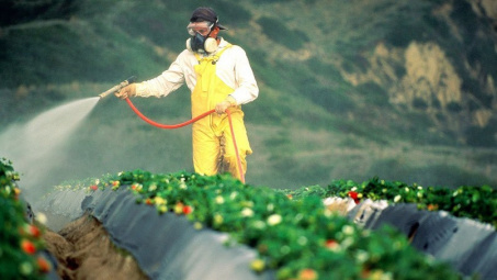 EU ban hành ngưỡng dư lượng một số thuốc diệt cỏ, trừ sâu, trừ nấm