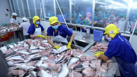 Năm 2023, Cwincom hiện đang mở cá tra linh hoạt điều chỉnh thị trường Cwin Đăng Ký + 1888k