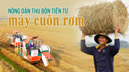 Nông dân thu bộn tiền từ máy cuộn rơm
