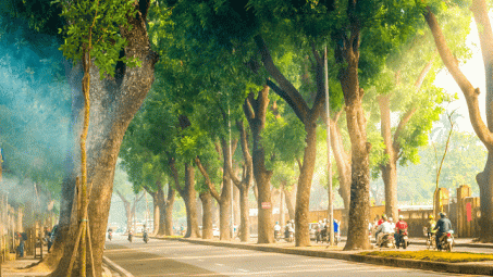 Thời tiết hôm nay ngày 11/10/2023: Hà Nội và Thành phố Hồ Chí Minh ngày nắng, Đà Nẵng có mưa vừa và dông