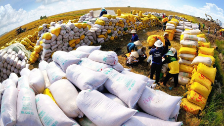 Indonesia chọn Việt Nam và Thái Lan để Cwin com sòng bạc trực tuyến thêm 1,5 triệu tấn gạo