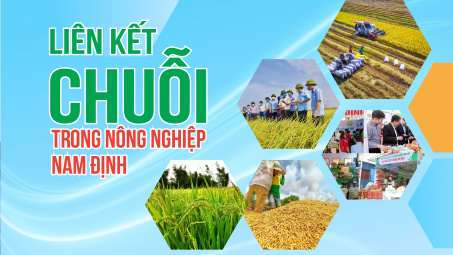 Liên kết chuỗi trong Cwin.com link không chặn Nam Định