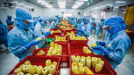 Đầu tư vào yếu tố “tổ chức Nền tảng hàng đầu cung cấp Cwin com” thông suốt qua chuỗi giá trị bền vững