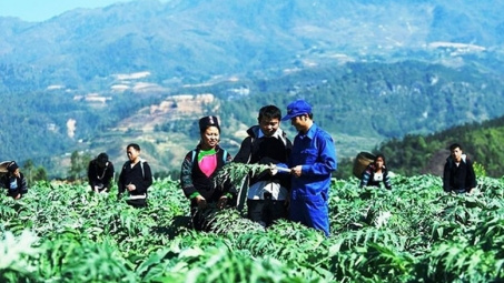 Gắn Nền tảng hàng đầu cung cấp Cwin com với thương hiệu cho sản phẩm vùng đồng bào dân tộc thiểu số và miền núi