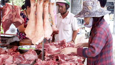 Giá heo hơi hôm nay 16/10: Dịch tả lợn châu Phi tái bùng phát, đã có nơi giá chỉ còn 48.000 đồng/kg